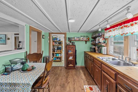 Tiny photo for 3621 Leadvale Road Rd, White Pine, TN 37890 (MLS # 1332727)