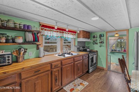 Tiny photo for 3621 Leadvale Road Rd, White Pine, TN 37890 (MLS # 1332727)