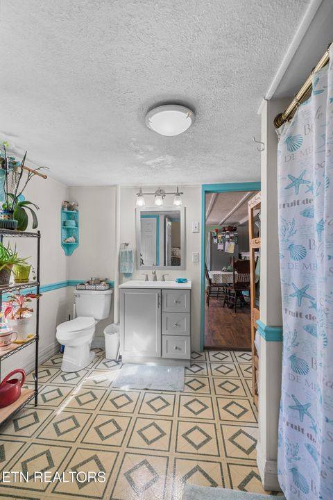 Tiny photo for 3621 Leadvale Road Rd, White Pine, TN 37890 (MLS # 1332727)