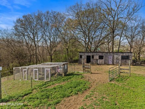 Tiny photo for 3621 Leadvale Road Rd, White Pine, TN 37890 (MLS # 1332727)