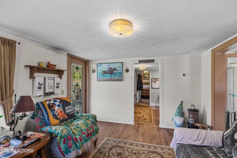 Tiny photo for 3621 Leadvale Road Rd, White Pine, TN 37890 (MLS # 1332727)