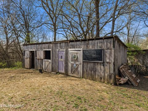 Tiny photo for 3621 Leadvale Road Rd, White Pine, TN 37890 (MLS # 1332727)