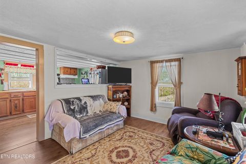 Tiny photo for 3621 Leadvale Road Rd, White Pine, TN 37890 (MLS # 1332727)