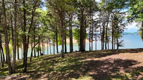 Photo of 123 Ridge Point Tr, Dandridge, TN 37725 (MLS # 1342709)