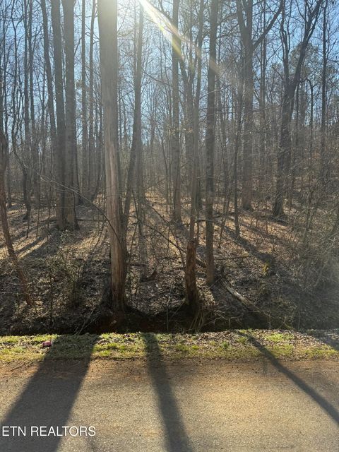 Randolph Fridley Rd Sweetwater TN 37874