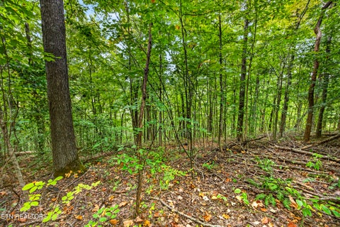 Tiny photo for 28 29 Timber Ridge Lane, Celina, TN 38551 (MLS # 1359403)