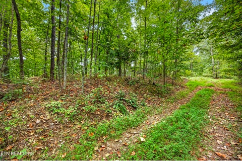 Tiny photo for 28 29 Timber Ridge Lane, Celina, TN 38551 (MLS # 1359403)