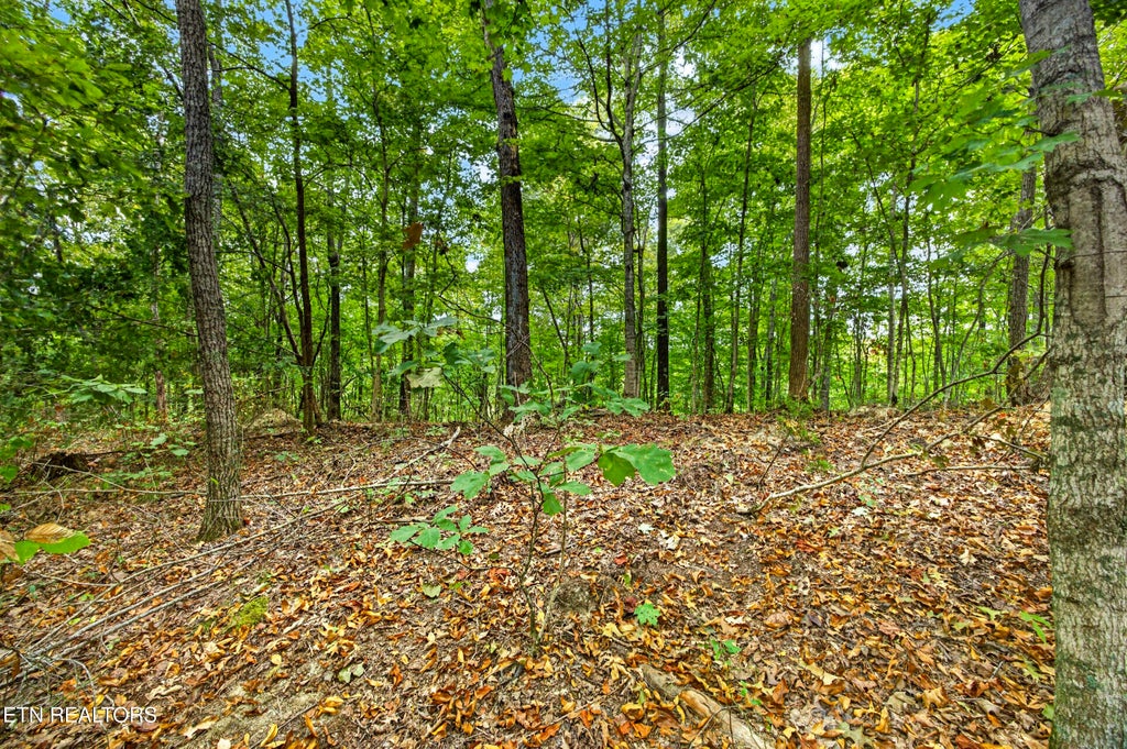 Photo of 28 29 Timber Ridge Lane, Celina, TN 38551 (MLS # 1359403)