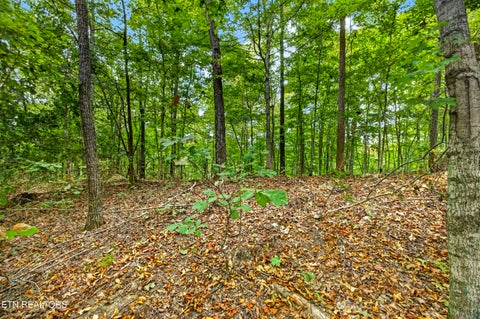 Photo of 28 29 Timber Ridge Lane, Celina, TN 38551 (MLS # 1359403)