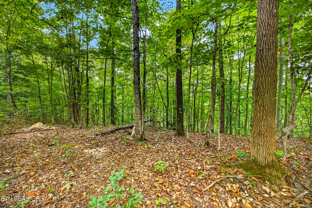 Photo of 28 29 Timber Ridge Lane, Celina, TN 38551 (MLS # 1359403)