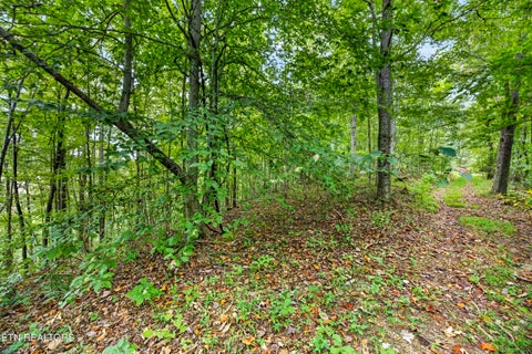 Tiny photo for 28 29 Timber Ridge Lane, Celina, TN 38551 (MLS # 1359403)