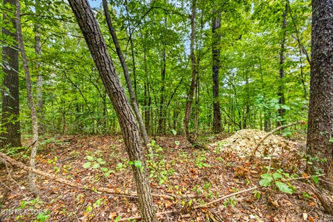 Tiny photo for 28 29 Timber Ridge Lane, Celina, TN 38551 (MLS # 1359403)