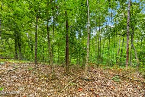 Tiny photo for 28 29 Timber Ridge Lane, Celina, TN 38551 (MLS # 1359403)