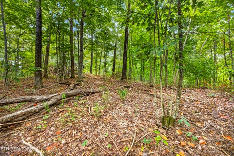 Tiny photo for 28 29 Timber Ridge Lane, Celina, TN 38551 (MLS # 1359403)