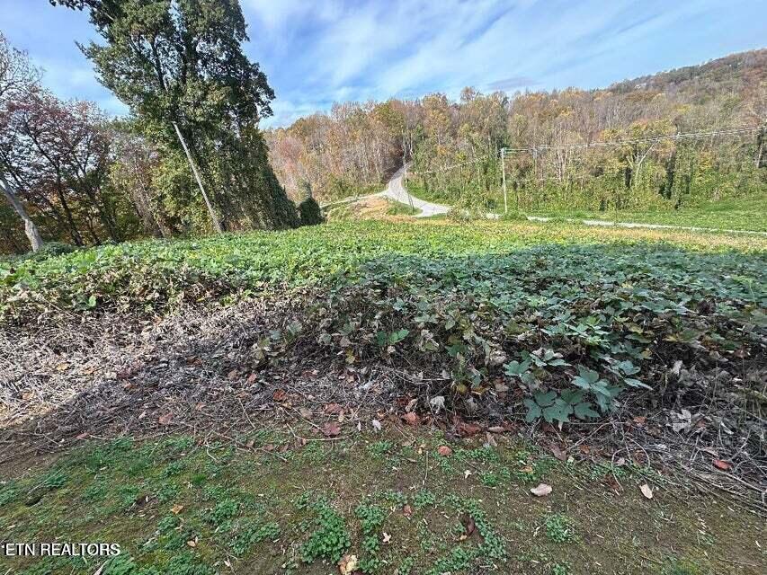 Lot 26 Della Lane