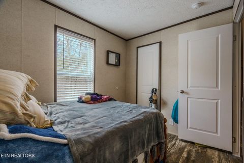 Tiny photo for 775 E Tanbark Tr, Cosby, TN 37722 (MLS # 1329567)