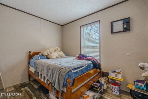 Tiny photo for 775 E Tanbark Tr, Cosby, TN 37722 (MLS # 1329567)