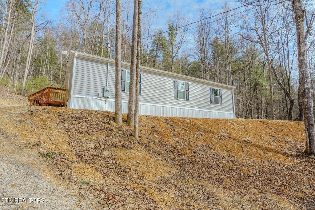Photo of 775 E Tanbark Tr, Cosby, TN 37722 (MLS # 1329567)