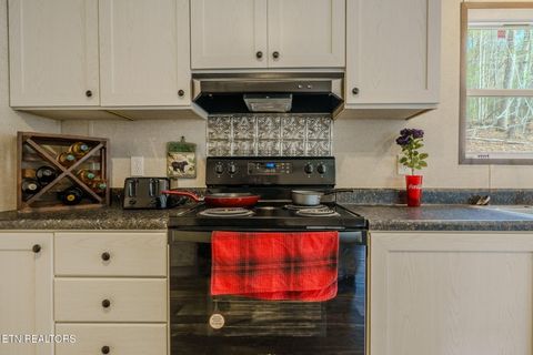 Tiny photo for 775 E Tanbark Tr, Cosby, TN 37722 (MLS # 1329567)