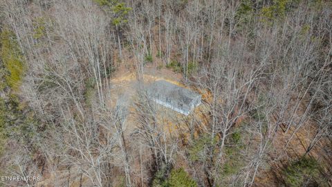 Tiny photo for 775 E Tanbark Tr, Cosby, TN 37722 (MLS # 1329567)