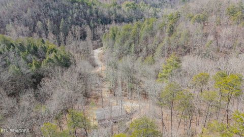 Tiny photo for 775 E Tanbark Tr, Cosby, TN 37722 (MLS # 1329567)