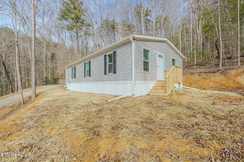 Tiny photo for 775 E Tanbark Tr, Cosby, TN 37722 (MLS # 1329567)