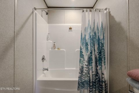 Tiny photo for 775 E Tanbark Tr, Cosby, TN 37722 (MLS # 1329567)