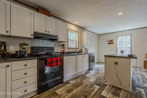 Tiny photo for 775 E Tanbark Tr, Cosby, TN 37722 (MLS # 1329567)