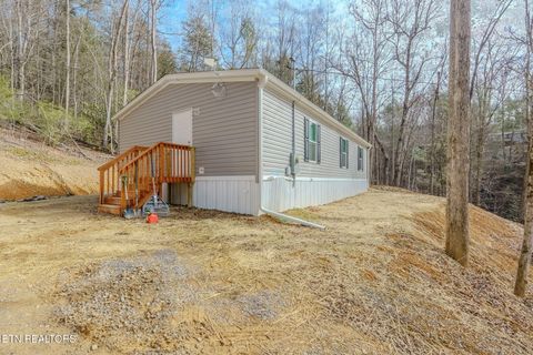 Photo of 775 E Tanbark Tr, Cosby, TN 37722 (MLS # 1329567)
