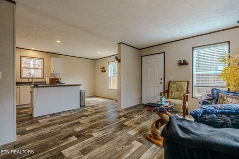 Tiny photo for 775 E Tanbark Tr, Cosby, TN 37722 (MLS # 1329567)