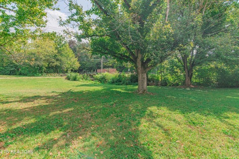 Tiny photo for 2700 Hwy Tennessee 116, Caryville, TN 37714 (MLS # 1357632)