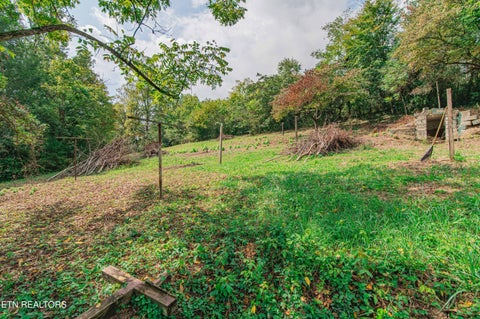 Tiny photo for 2700 Hwy Tennessee 116, Caryville, TN 37714 (MLS # 1357632)