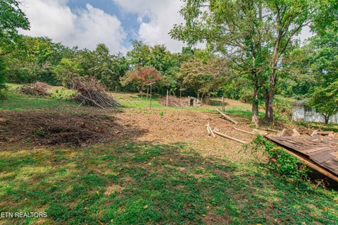 Tiny photo for 2700 Hwy Tennessee 116, Caryville, TN 37714 (MLS # 1357632)