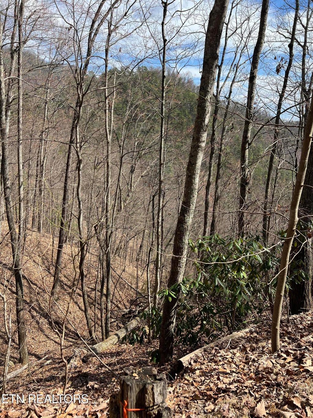 Photo of Aintree Drive #26, Sevierville, TN 37876 (MLS # 1331999)