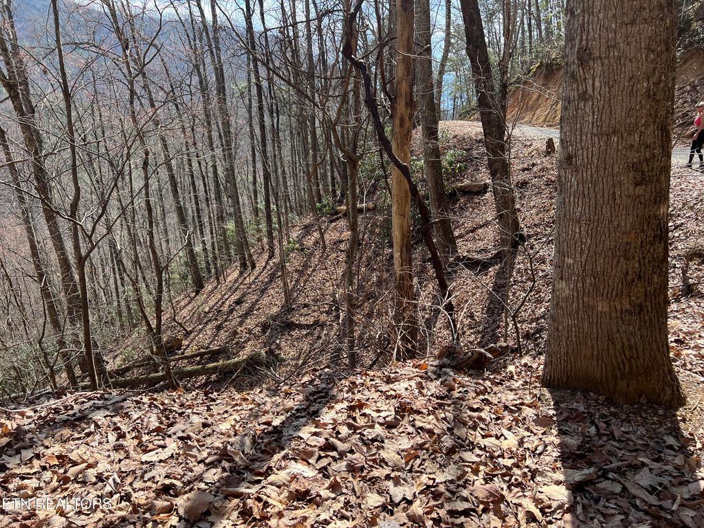 Photo of Aintree Drive #26, Sevierville, TN 37876 (MLS # 1331999)
