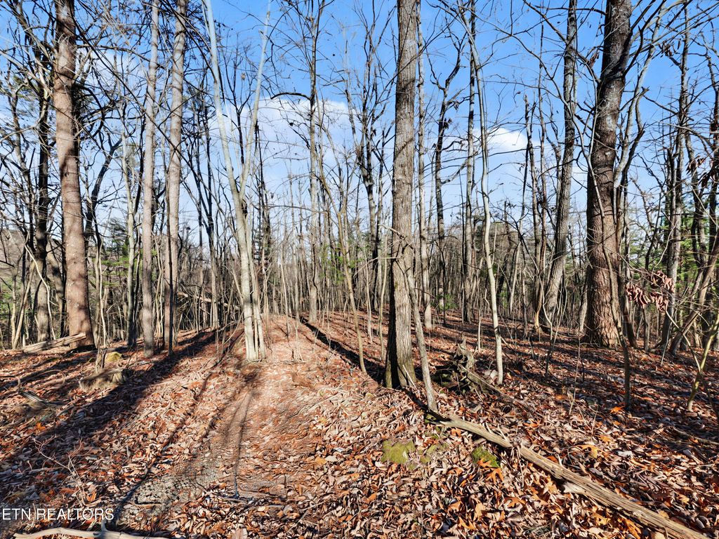 Photo of Avens Lane, Tallassee, TN 37878 (MLS # 1327715)