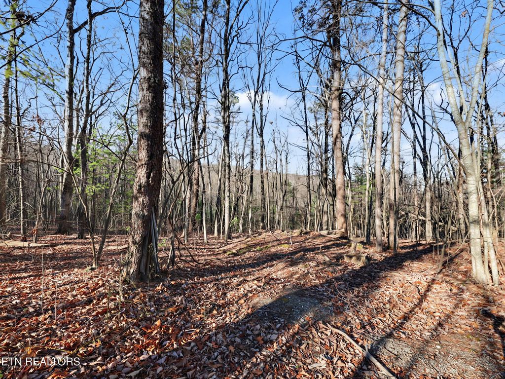 Photo of Avens Lane, Tallassee, TN 37878 (MLS # 1327715)
