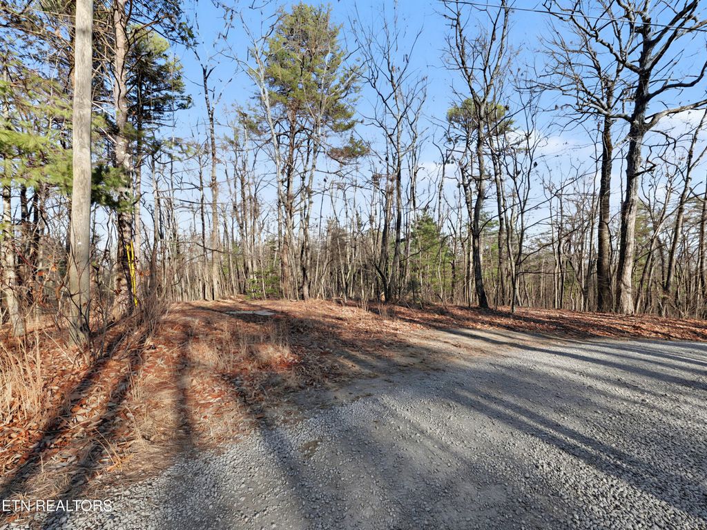 Photo of Avens Lane, Tallassee, TN 37878 (MLS # 1327715)