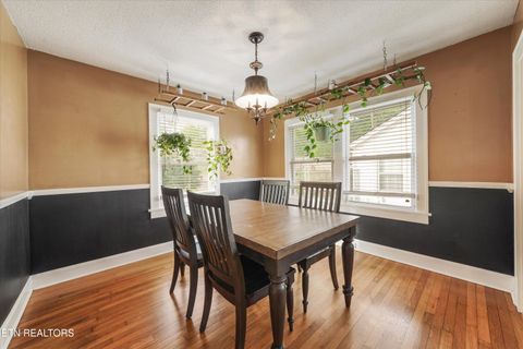 Tiny photo for 2704 Forestdale Ave, Knoxville, TN 37917 (MLS # 1337775)