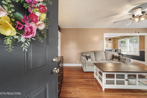 Tiny photo for 2704 Forestdale Ave, Knoxville, TN 37917 (MLS # 1337775)