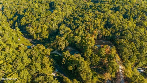 Tiny photo for 693 Hassler Mill Rd, Harriman, TN 37748 (MLS # 1357371)