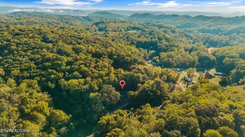 Tiny photo for 693 Hassler Mill Rd, Harriman, TN 37748 (MLS # 1357371)