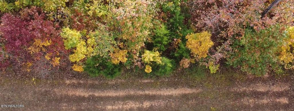 Photo of 374 Walking Horse Tr, Rockwood, TN 37854 (MLS # 1269303)