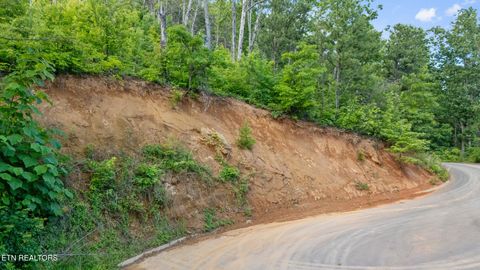 lot 48 Spurling Rd Sevierville TN 37862