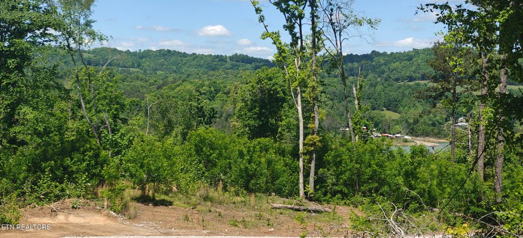 Photo of Lake Lane #Lot 6, New Tazewell, TN 37825 (MLS # 1340427)