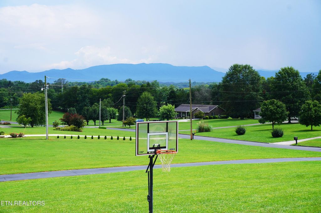 Photo of 122 Sunny Dale Lane, White Pine, TN 37890 (MLS # 1238964)