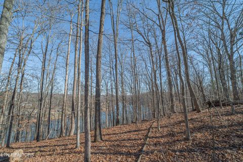 Tiny photo for Sheerwater Rd, Kingston, TN 37763 (MLS # 1324326)