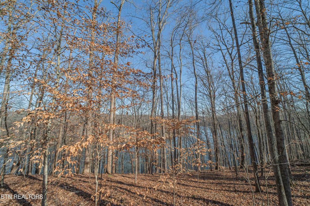 Photo of Sheerwater Rd, Kingston, TN 37763 (MLS # 1324326)