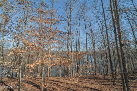 Tiny photo for Sheerwater Rd, Kingston, TN 37763 (MLS # 1324326)