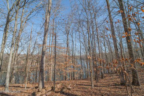 Tiny photo for Sheerwater Rd, Kingston, TN 37763 (MLS # 1324326)